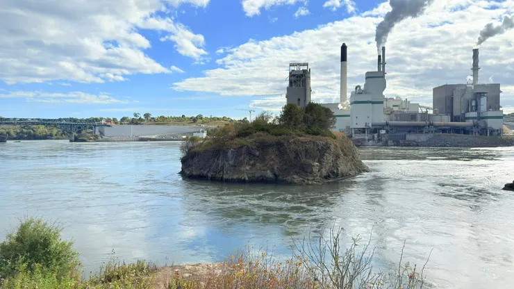 漩渦翻動貝類吸引海豹前來覓食