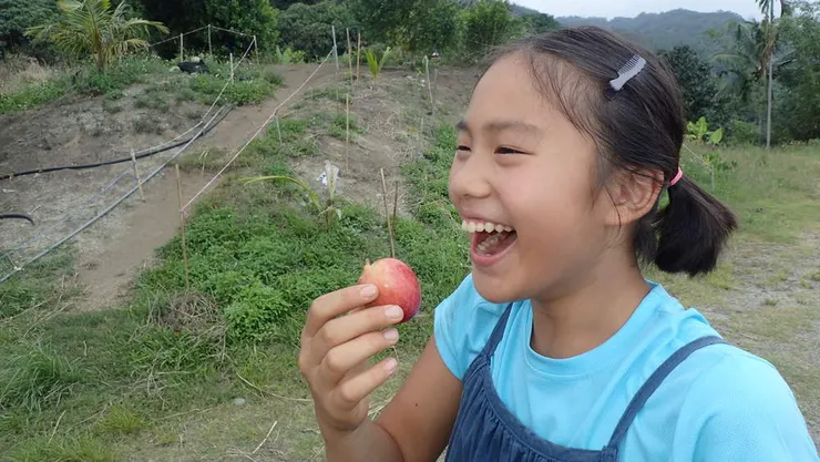 自家農場唯一結過的一顆熱帶蘋果(攝於次女12歲)