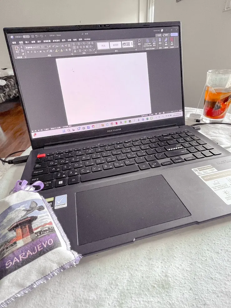 llidza of Sarajevo ,Bonisa,25/10/2023.