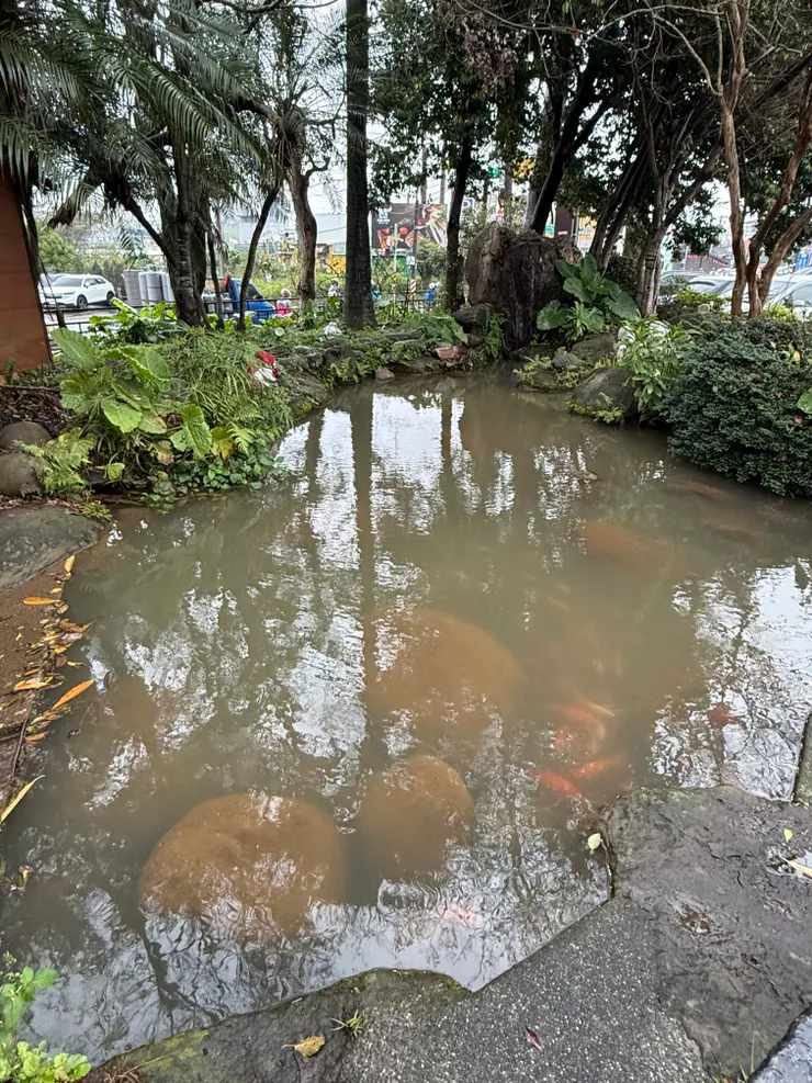 2026/03/10 吃飯現場的水池