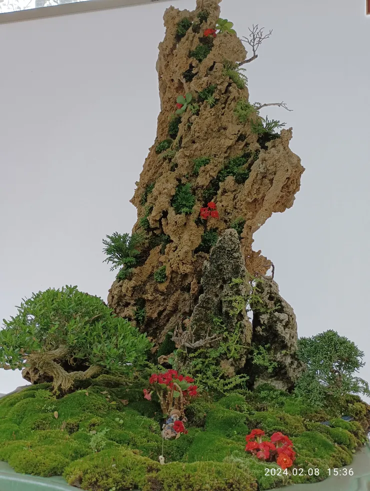 熱博盆景，自拍攝