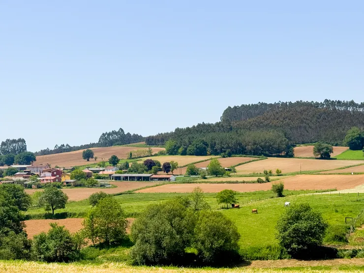 看看這片！！是不是很適合來首山頂黑狗兄！！😆 