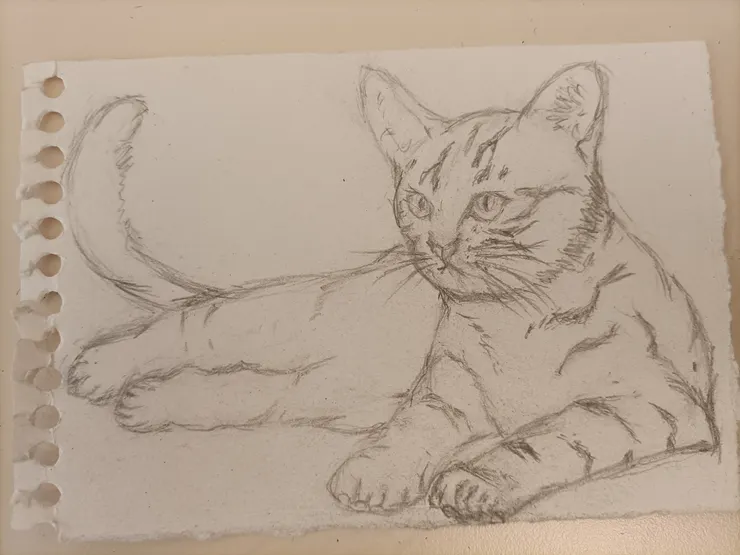 懒貓​​​​​​​​​​​​​​​​​​​​