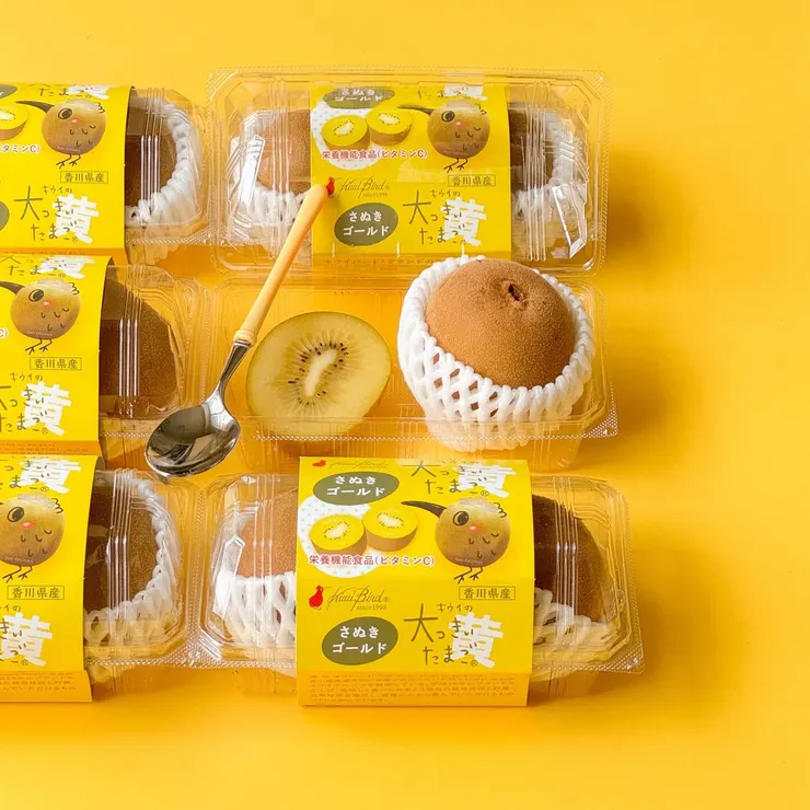 小羊水果奇異果