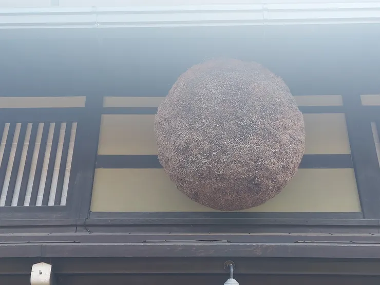 高山也是造酒產地，有些酒鋪的店面上方會掛著松球，又稱杉玉，挺有特色的