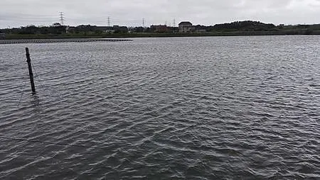 [桃園旅遊]新屋區環境教育園區、鮮活綠意向旅人招手，快來安排