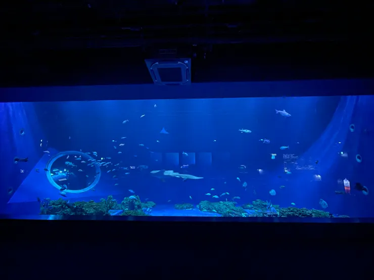 仿美麗海水族館