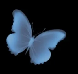 網路應用One°•｀身心靈🦋³