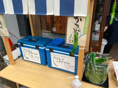 炎熱的夏天，大家會想到吃什麼來消暑呢？醃漬小黃瓜清爽解膩！