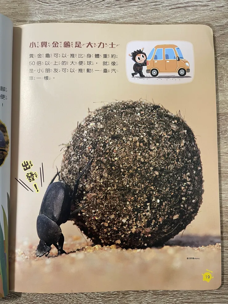 「滾便便大賽開始囉！」部分內頁