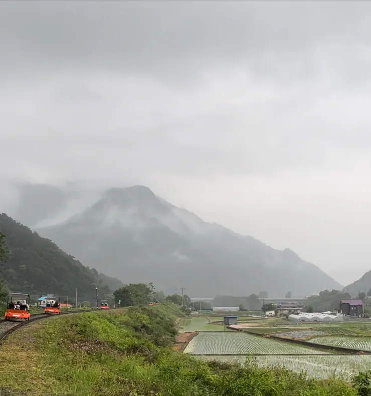 首爾近郊就是完全不同的田野風格