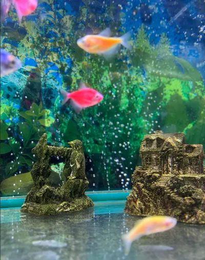 辦公室的小小日常