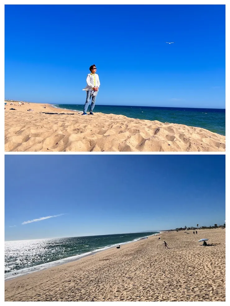 看海、看鳥、看沙灘和遊客