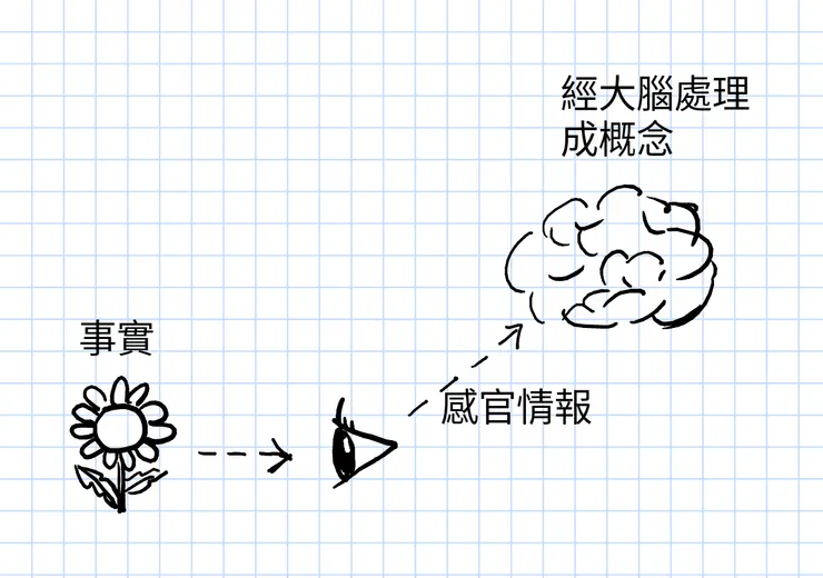 感官情報經處理形成概念