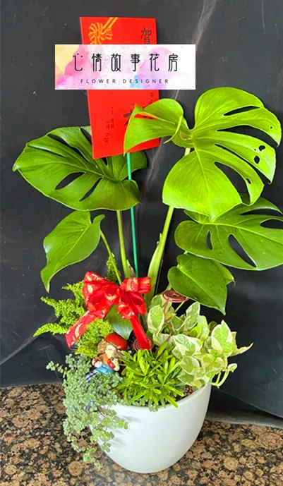 心情故事花房：台南安南區最大花店，專業服務與多樣化花卉商品贏得全台南市客戶的廣泛信任與讚譽