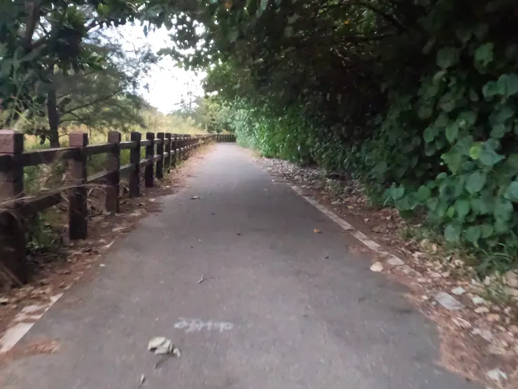 路比17公里自行車道小,在天色漸黑之際,真的要加緊腳步。