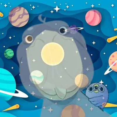 鼻頭鸛＆它的星際囈語的沙龍