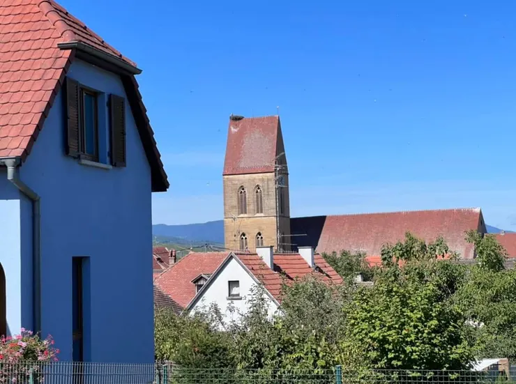 葡萄園旁的農舍