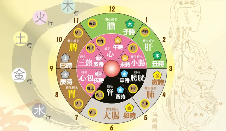 十二時辰養生法