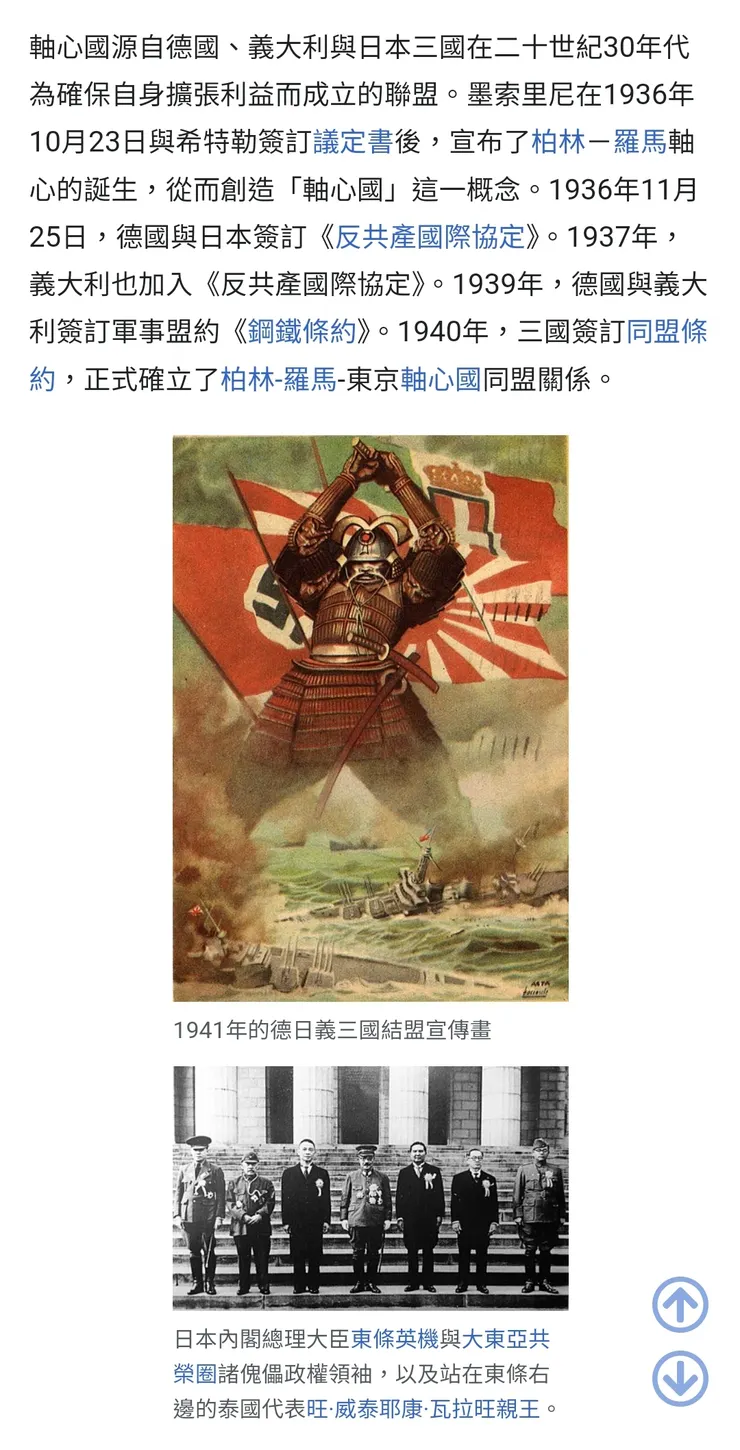 維基百科：軸心國