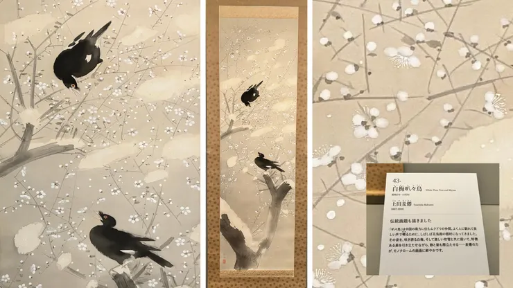 白梅叭々鳥｜土田麦僊,1928年,福田美術館藏。