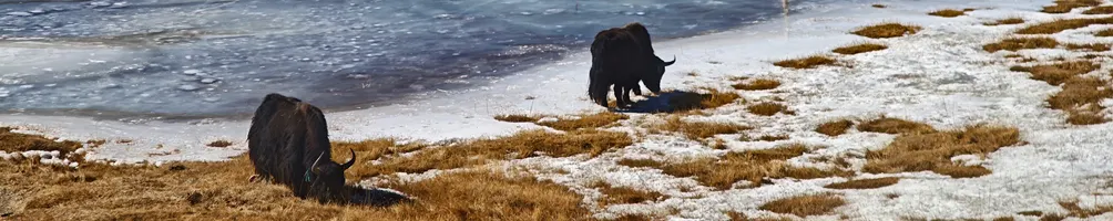 日常的背包旅行札記