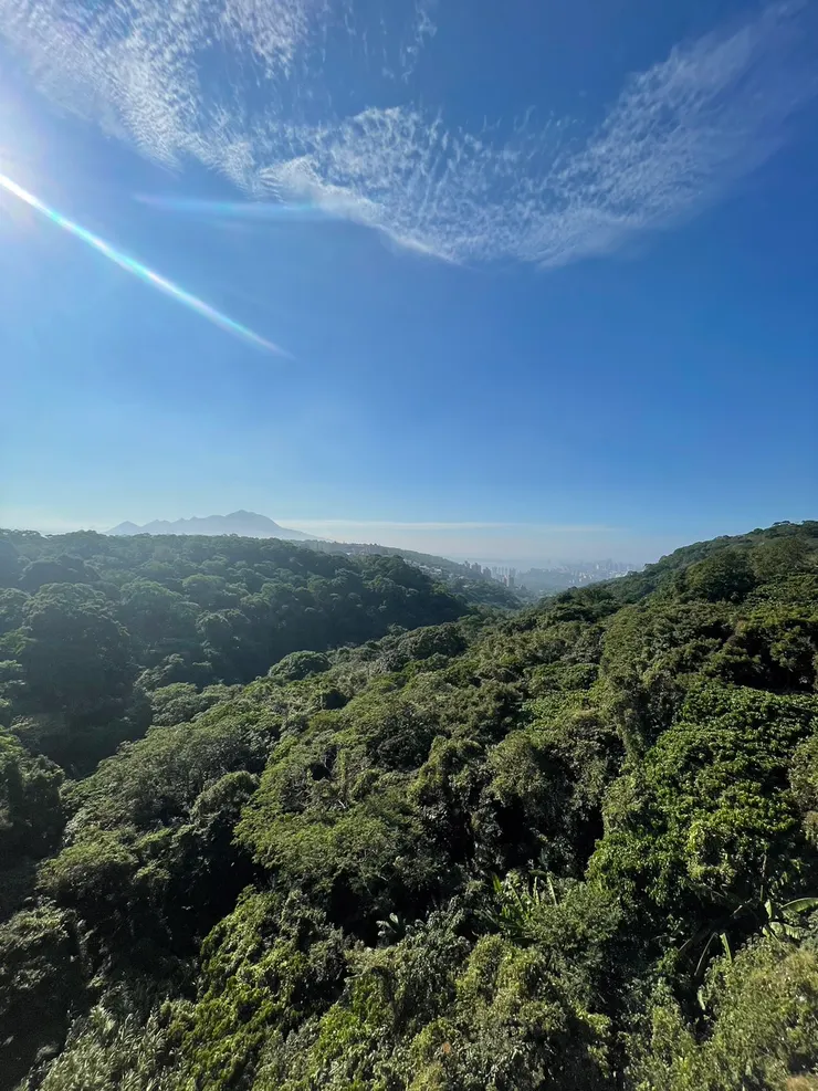 淡水河蜿蜒不休，遠眺的美景讓建商失去基本價值判斷，聯合推案造成「八掛山」悲劇。