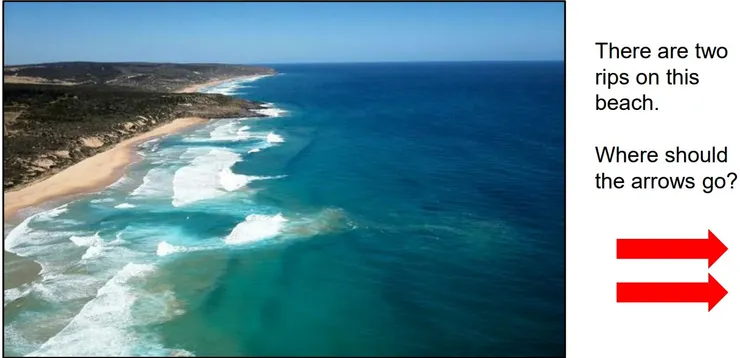 圖源:AMEP課程講義