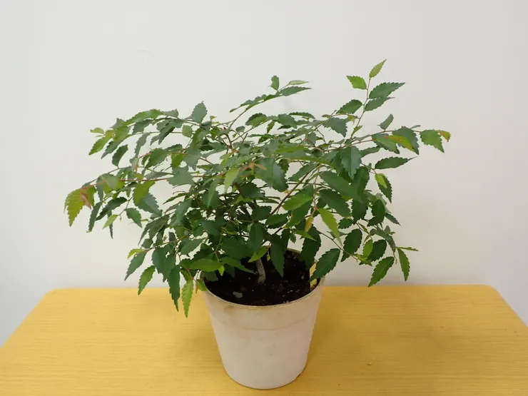 中山社大114.04.10