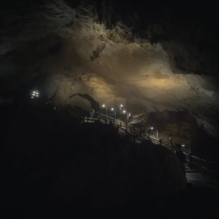 編號5: 由下往上