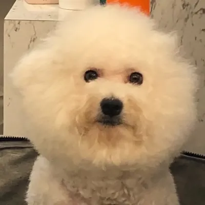 夜空中的小星星的沙龍