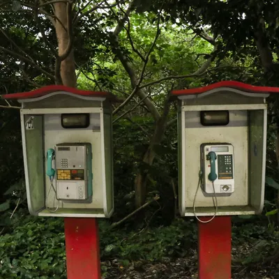 Lumière 的牧羊犬的沙龍