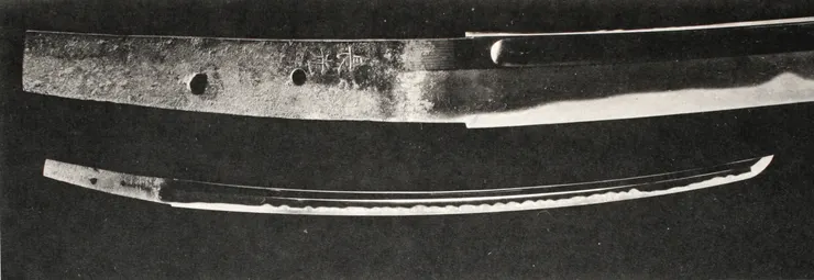 （圖源／維基百科）