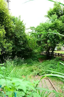 軌道與路廊意外地保存良好(往竹東方向拍)