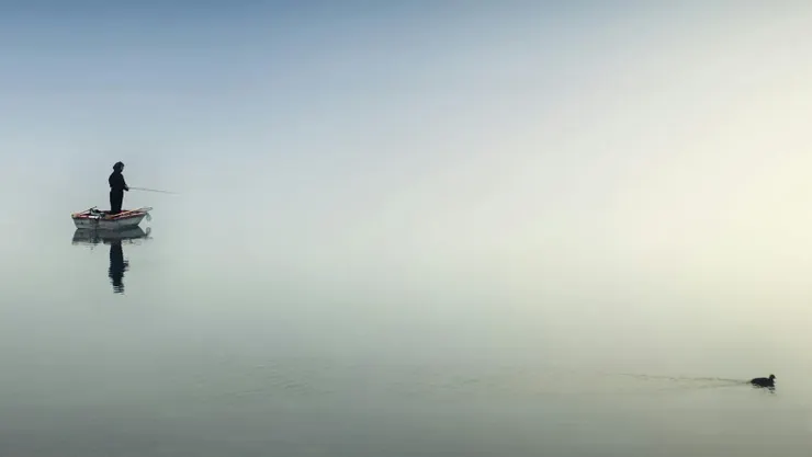 https://www.pexels.com/zh-tw/photo/1105386/