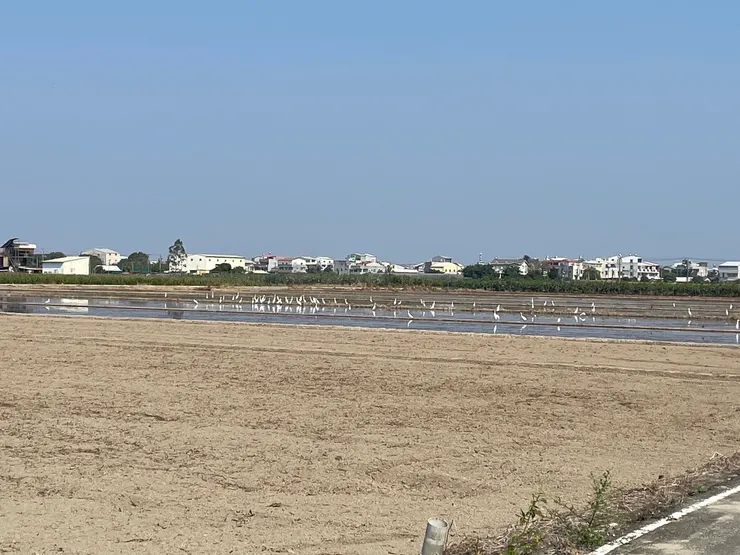 春天了開始引河水滋溣大地，感覺真好分享給你