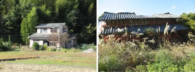 不想說被遺棄的房子，改說「獨活」的房子