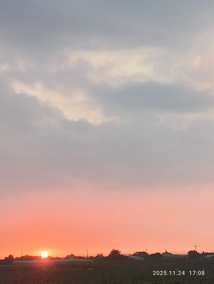 紅霞阻騎鳳梨田，自拍攝