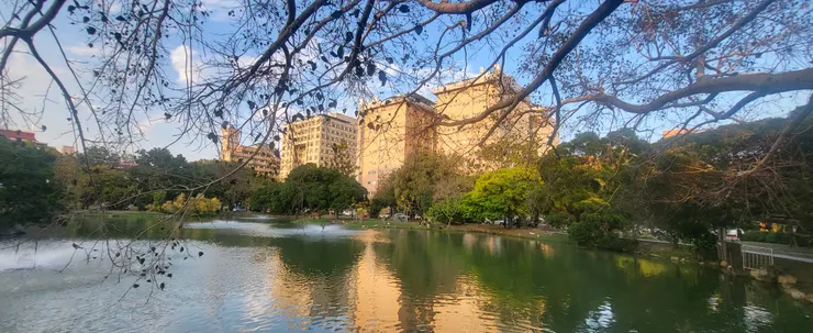 午後的中興湖(李建崑攝影)