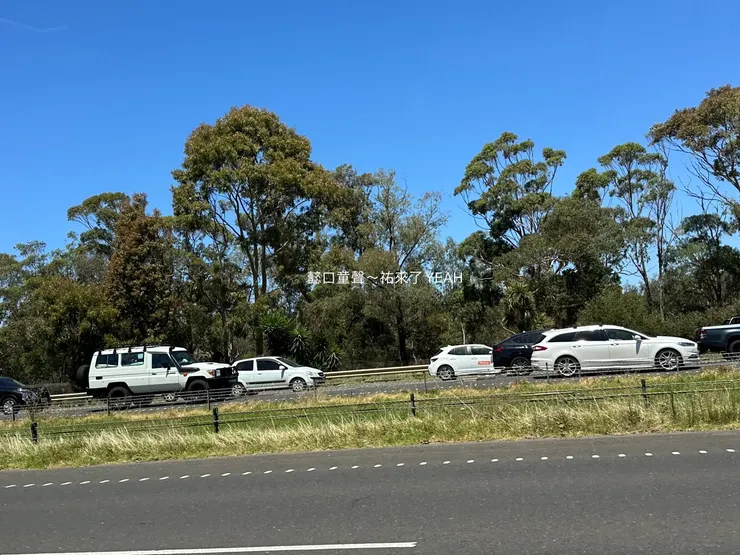 難得看到高速公路塞車,是在離開Geelong的時候。