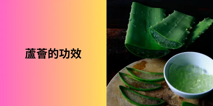 蘆薈的功效