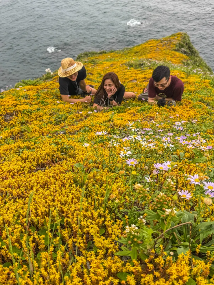 這一片美景得來不易