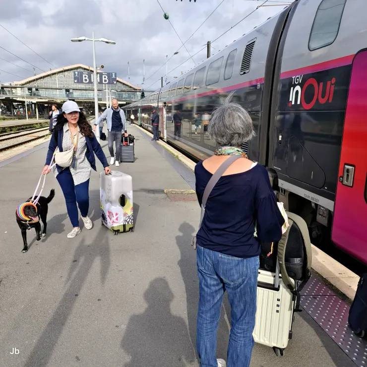 【幾乎走完整個月台才到達我們的頭等車廂】