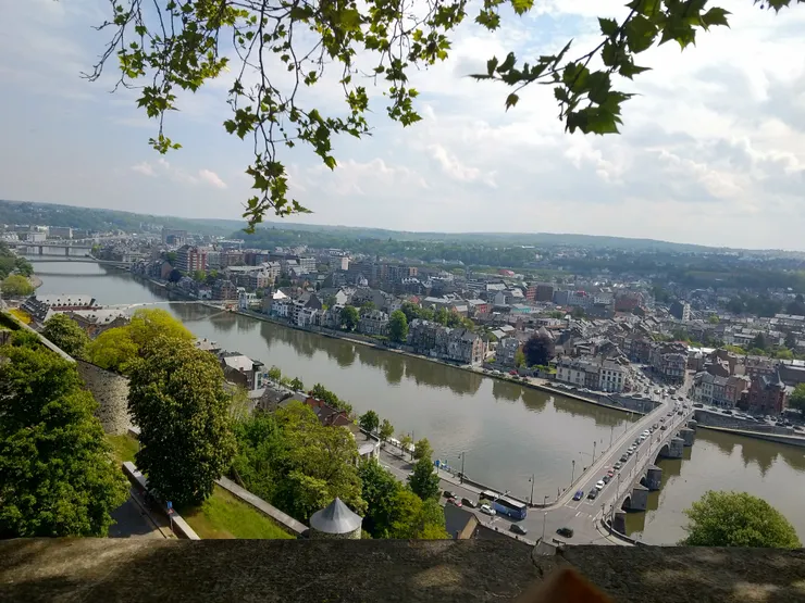 這個角度也很棒