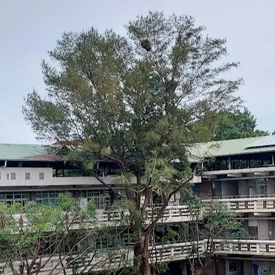 瑪雅日月的沙龍