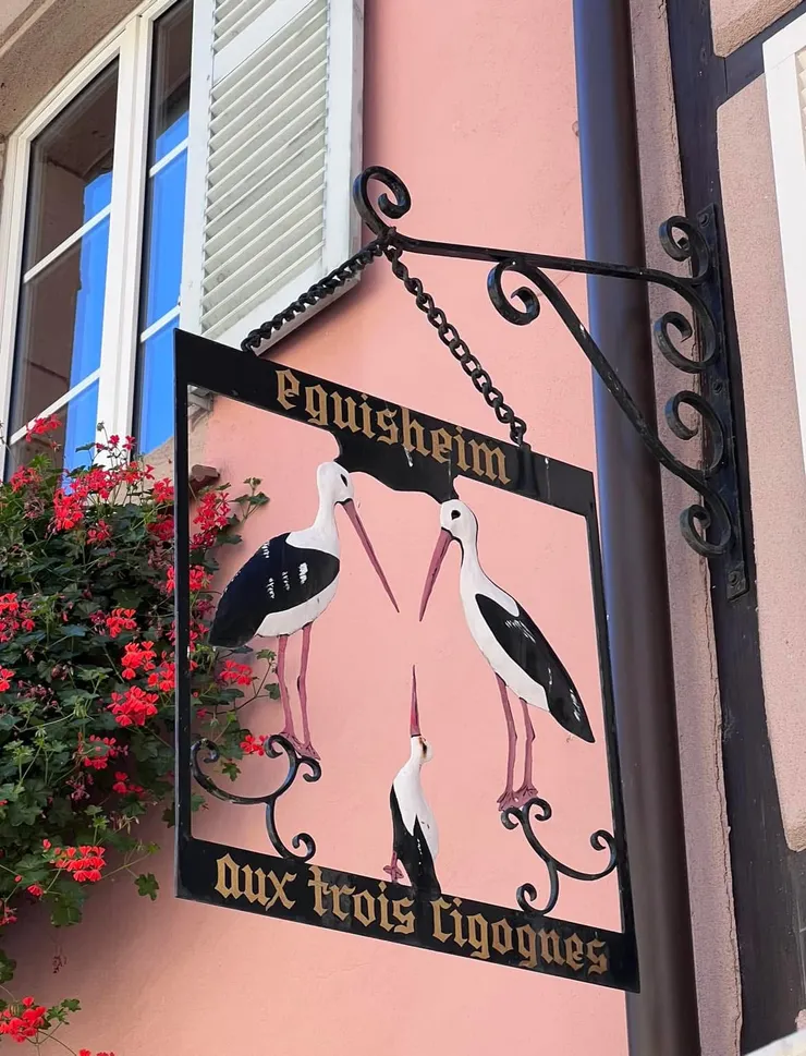 看不到真正的送子鳥，沒關係，看看這個也行啦！