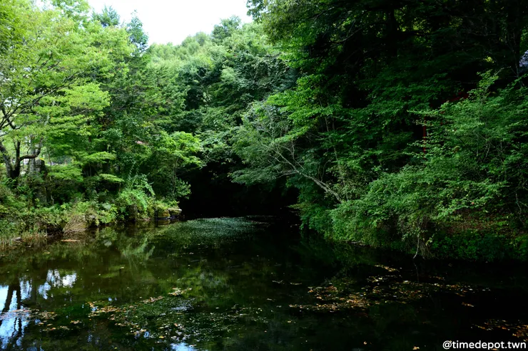 面積最大也最遠離喧囂的出口池