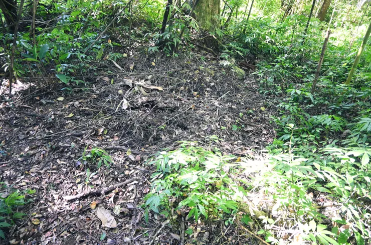 原以為是一般乾掉的草地，在獵人眼裡是一個獵場的訊息。