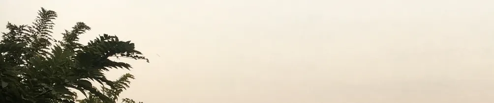 文子館西區分館