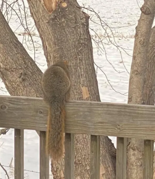 於是我換了地圖，背對身子。